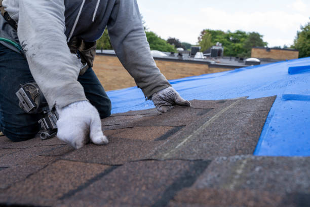 Best Sheet Metal Roofing  in Tipton, CA